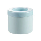 Ice Roller Face Skin Tool & Ice Mold