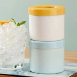 Ice Roller Face Skin Tool & Ice Mold