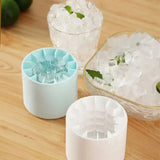 Ice Roller Face Skin Tool & Ice Mold