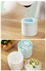 Ice Roller Face Skin Tool & Ice Mold